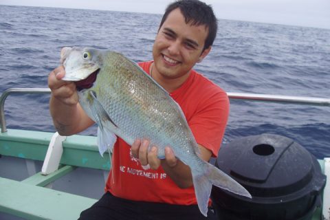 reef-fishing-f33